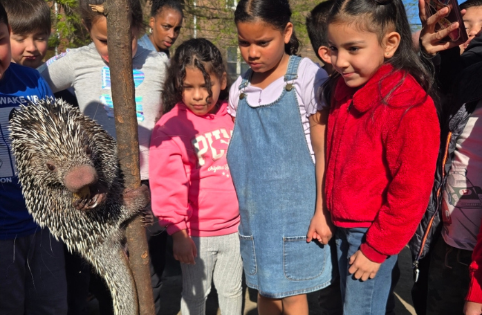  A group of kids looking at a porcupine